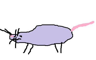 Rat.png