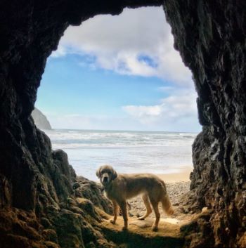 lab in a tunnel.jpg