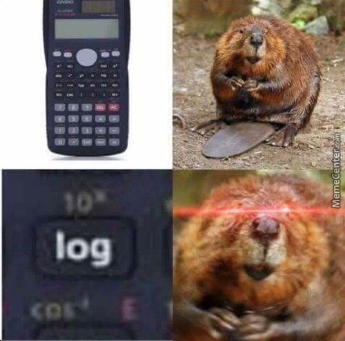 log.jpg