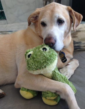 bessie and her frog.PNG