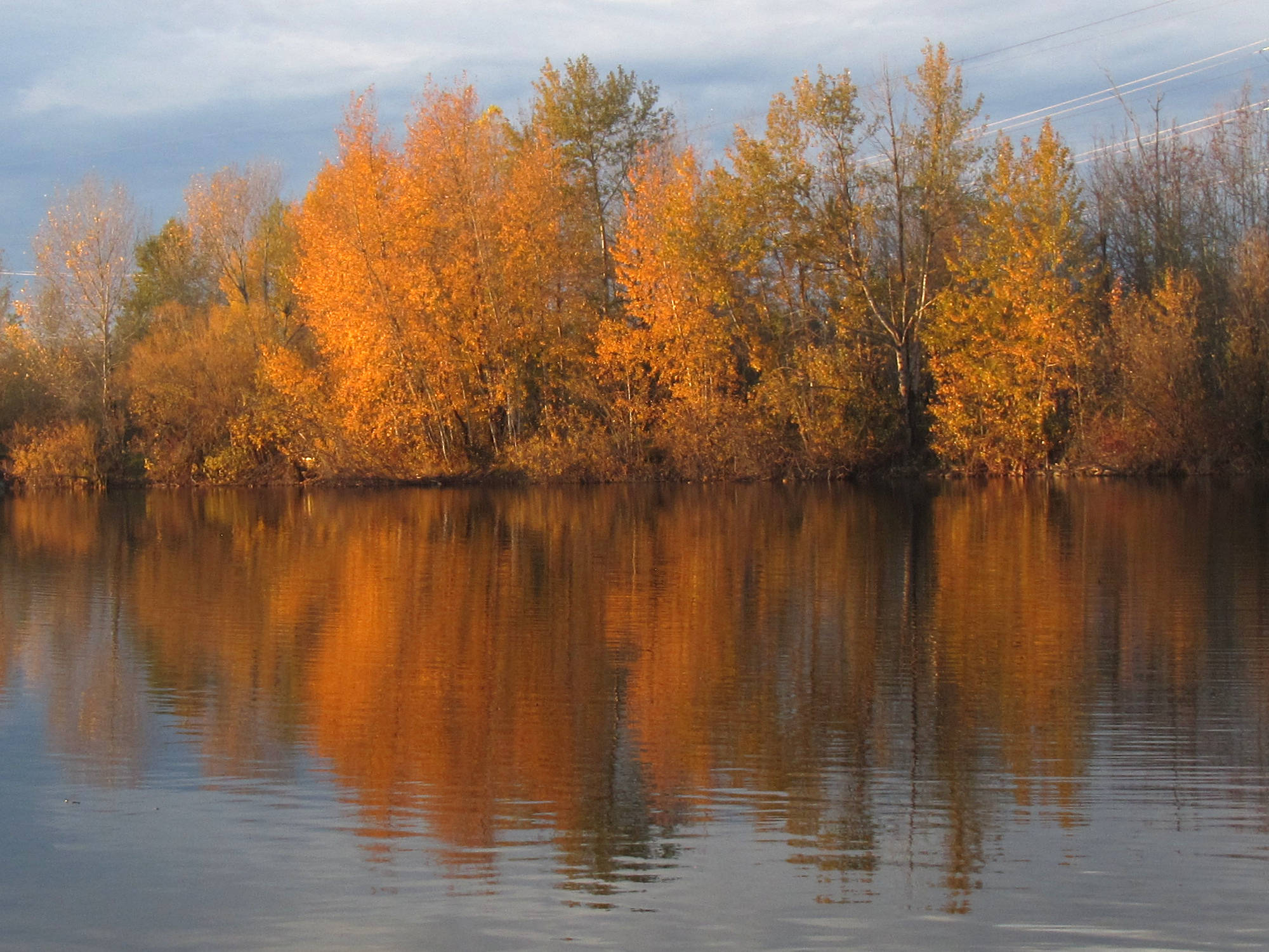 pond-reflection.jpg