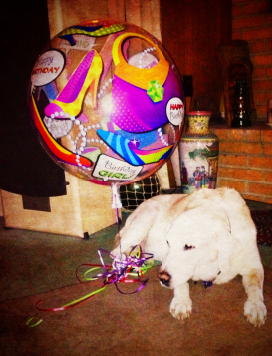 bessie birthday balloon.png